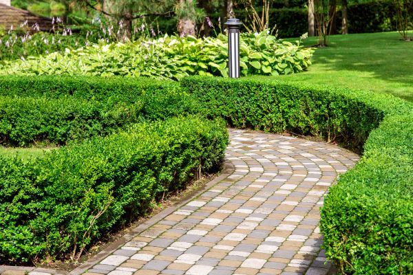 Cost of Paved Landscaping in Simpsonville