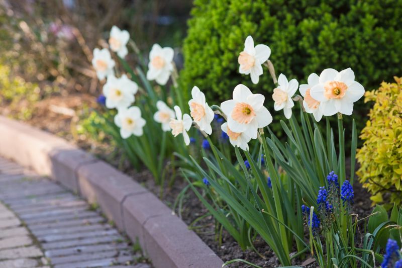 Decorative Paver Edging